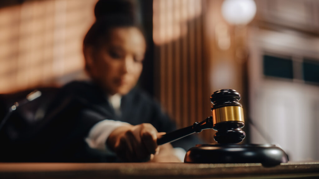 Litigation Process Serving